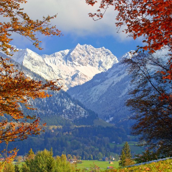 Blick von Reute nach Oberstdorf