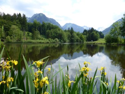 Moorweiher