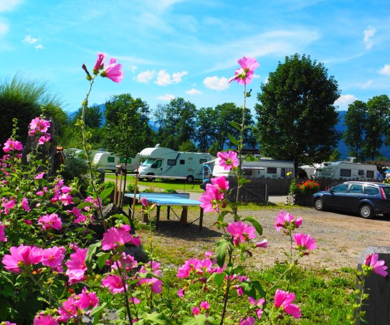 Camping in Oberstdorf