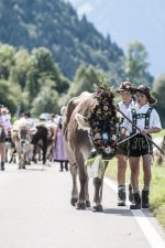 Viehscheid Schöllang