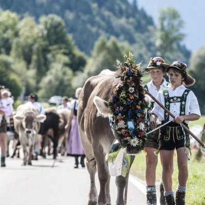 Viehscheid Schöllang Viehscheid Schöllang - Bild: Dominik Berchtold