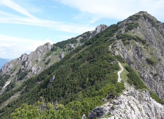 Auf dem Grat zum Rubihorn