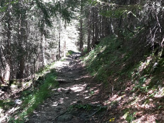 Rautweg Der Rautweg zwischen Spielmannsau und Gerstruben.