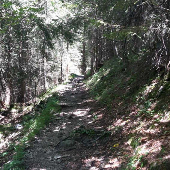 Der Rautweg zwischen Spielmannsau und Gerstruben.