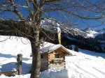 Winterwanderung zur Gaisalpe (3)