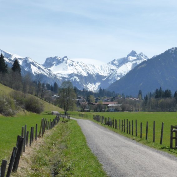 Kalkofenweg zwischen Rubi und Dummelsmoos