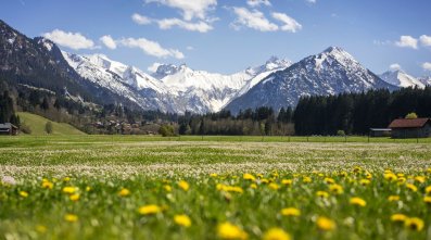 Frühlingshaftes Oberstdorf