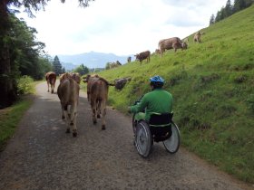 Alle Breitachklamm rollstuhl im Blick
