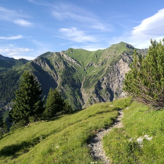 Weg zwischen Lugenalpe & Hahnenköpfle