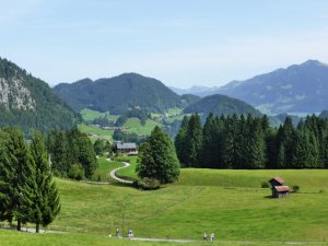 Blick nach Tiefenbach von Alpe Dornach