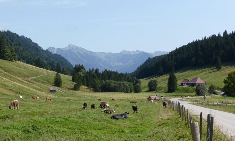 Im Rohrmoostal