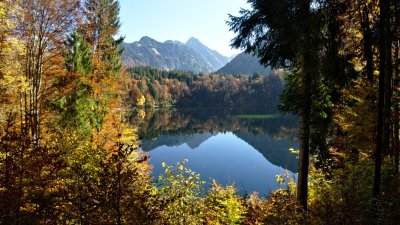 Freibergsee