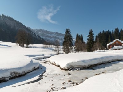 Rohrmoos im Winter