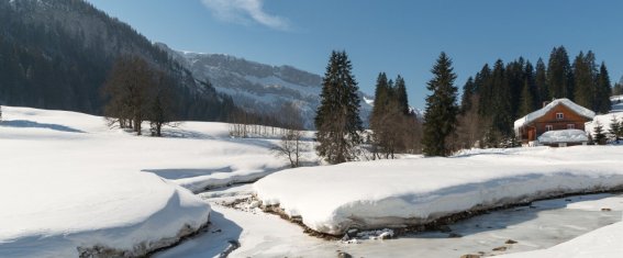 Rohrmoos im Winter