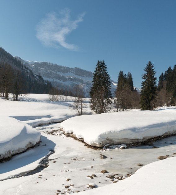Rohrmoos im Winter