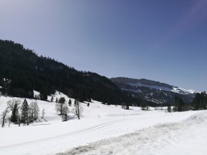 Rohrmoos