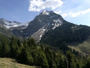 Ausblick zum Rubihorn und der Gaisalpe