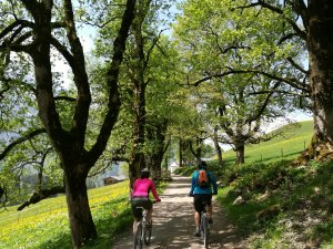 Mountainbiken in Gerstruben