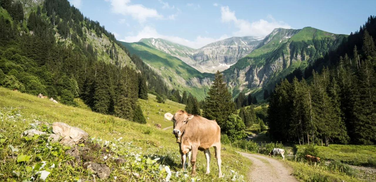 Oberstdorfer Seitentäler