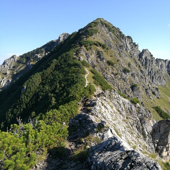 Weg zum Rubihorn