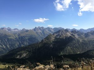 Bergblick vom Fellhorngrat
