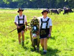 Zwei junge Alphirten geleiten während eines Viehscheids die Kranzkuh über die Wiese. Wreath cow and shepherds