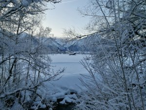 Morgenstimmung am Otterrohr