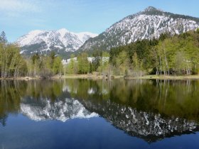 Moorweiher