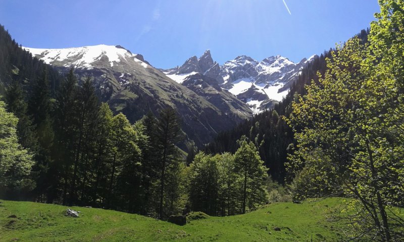 Ausblick von der Buchrainer Alpe