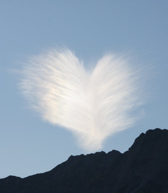 Herzwolke