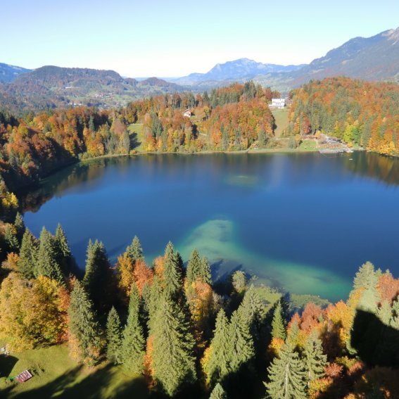 Freibergsee