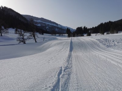 Langlaufen im Rohrmoos (3)