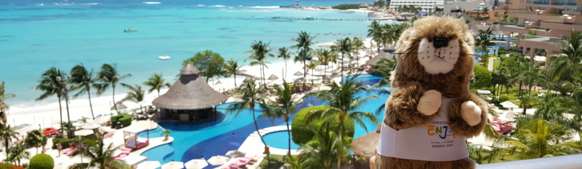 Max das Murmeltier ist in Cancun gelandet.