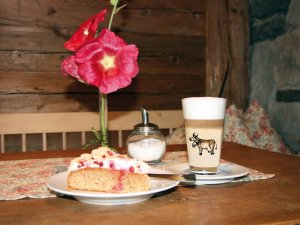 2008 Kaffeekuchen 4867 4c LogoKaeladen