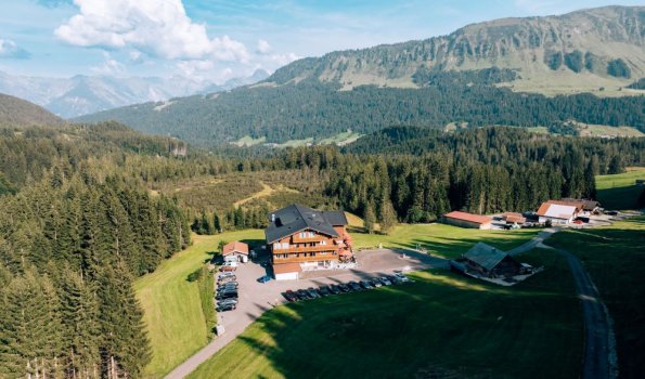 Vogelperspektive-hoernlepass-urlaub-kleinwalsertal