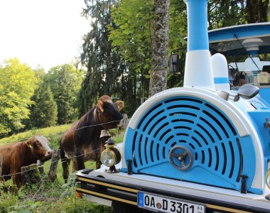 Fahrt zum Berggasthof Laiter