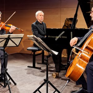 Trio Opus 8