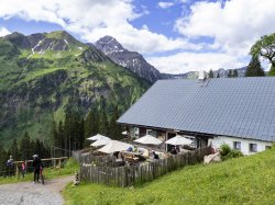 Stutzalpe vor dem Widderstein