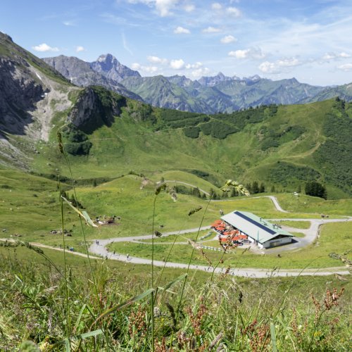 Der Adlerhorst vor dem Widderstein