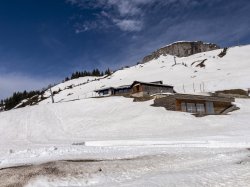 Ifenhütte im Frühling