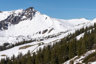 Bierenwang im Frühling