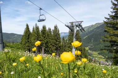 Eine schöne Wiese mit gelben Blumen und einem Sessellift in den Bergen an einem sonnigen Tag im Sommer.