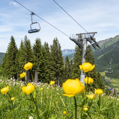 Eine schöne Wiese mit gelben Blumen und einem Sessellift in den Bergen an einem sonnigen Tag im Sommer.