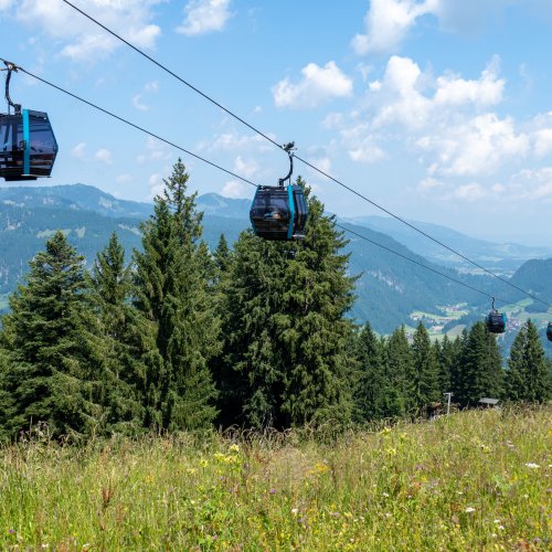 Sommertag am Söllereck