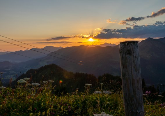 Zaun im Morgenlicht