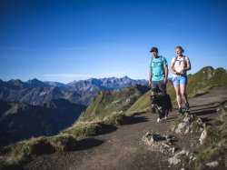 Tierischer Begleiter am Berg