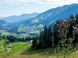 Heuberg Mulde im Sommer