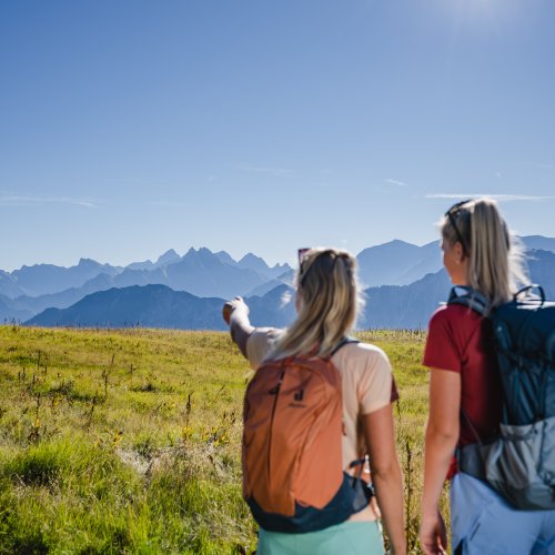 Fernsicht zum Nebelhorn