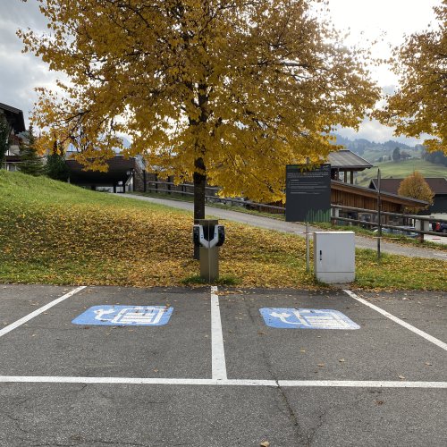 E-Ladestation Kanzelwand Zwei behindertengerechte Stellplätze auf einem Parkplatz, umgeben von buntem Herbstlaub und einer ruhigen Landschaft in den Bergen.