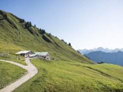 Die Alpe Schlappold